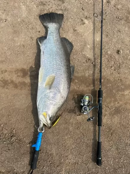 3 HỒ CÂU LURE ĐÁNG TRẢI NGHIỆM TẠI CẦN GIỜ