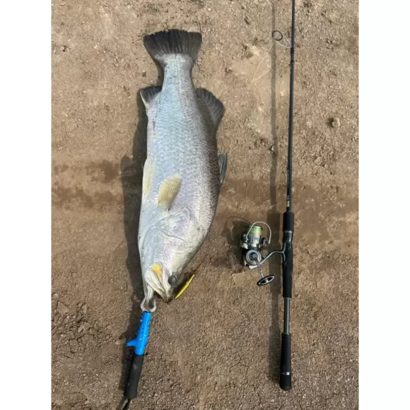 3 HỒ CÂU LURE ĐÁNG TRẢI NGHIỆM TẠI CẦN GIỜ